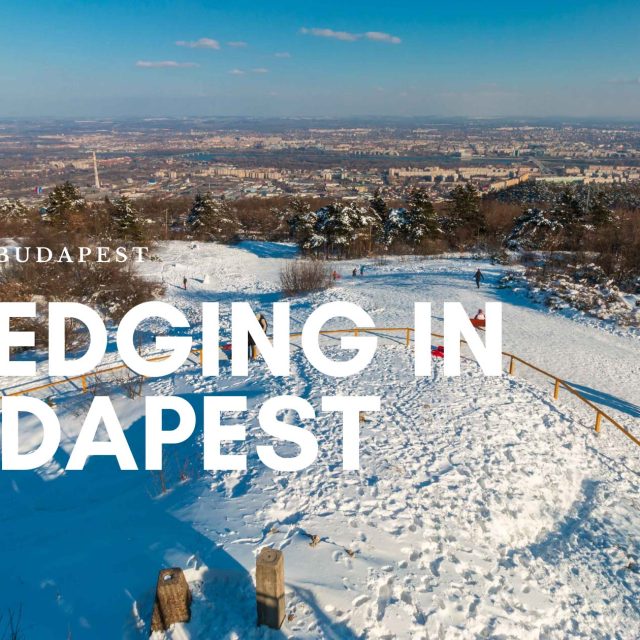7+1 sledging places in Budapest