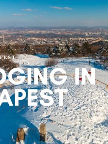 7+1 sledging places in Budapest