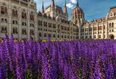 Must-see Budapest